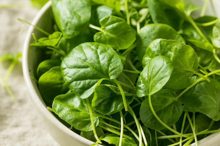 Wonderful Watercress