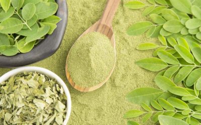 Magnificent Moringa to Support Respiratory Health