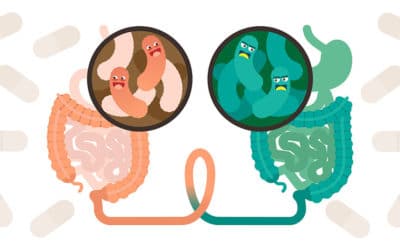 Fecal Microbiota Transplantation: Cutting-Edge Intervention to Rebalance the Microbiome