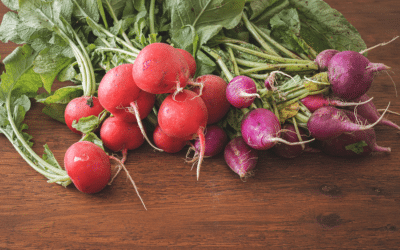 Radishes