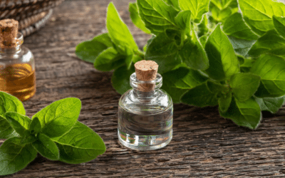 Oil of Oregano: Essential Topical  Remedy for Fungal and Bacterial Infection