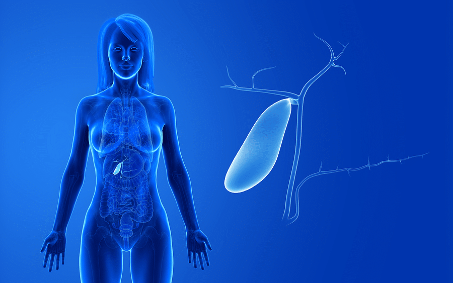 What Your Gallbladder Does & How to Keep it Healthy