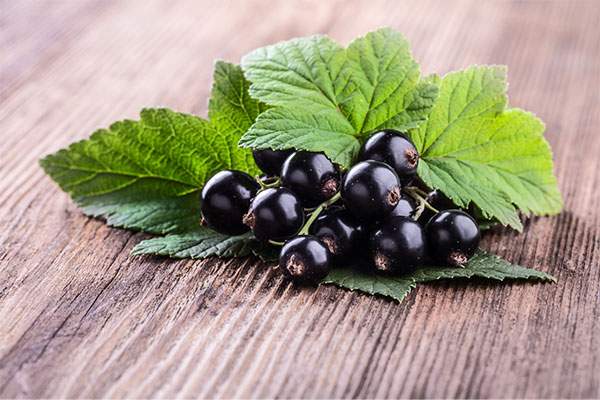 Support Adrenal Health with Black Currant