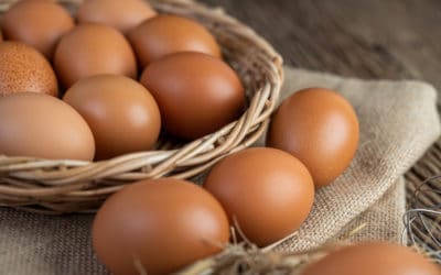 The Extraordinary Health Benefits of Eggs