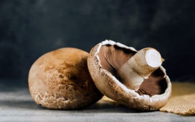 Portobello Mushroom: Nutrient Powerhouse