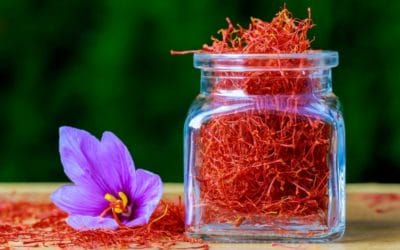 Saffron: A Versatile Medicinal Herb and Culinary Spice